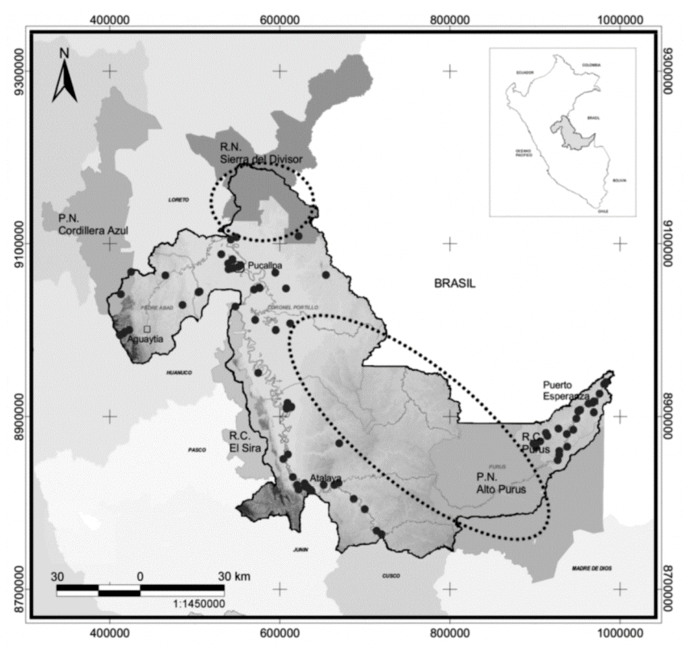 1609 9117 rivep 36 02 e30633 gf1