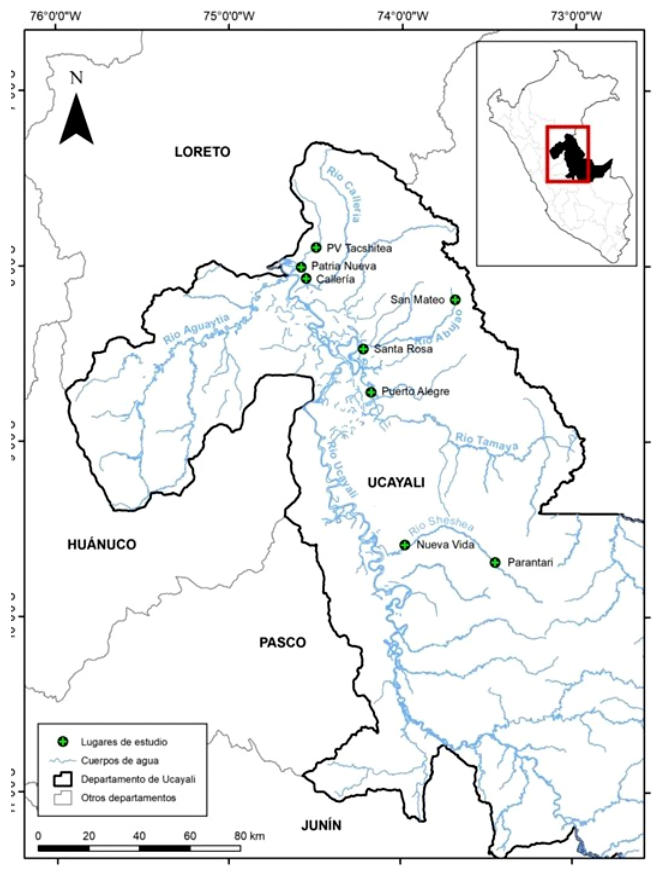 1609 9117 rivep 36 02 e30633 gf2